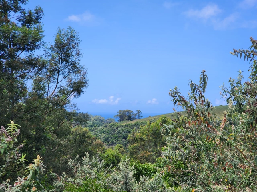 Commercial Property for Sale in Wilderness Heights Western Cape